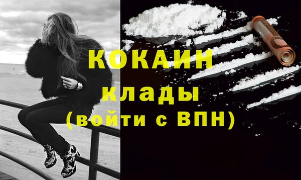 молекула духа Алексин