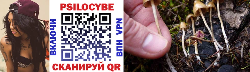 цены наркотик  Сибай  Псилоцибиновые грибы мухоморы 